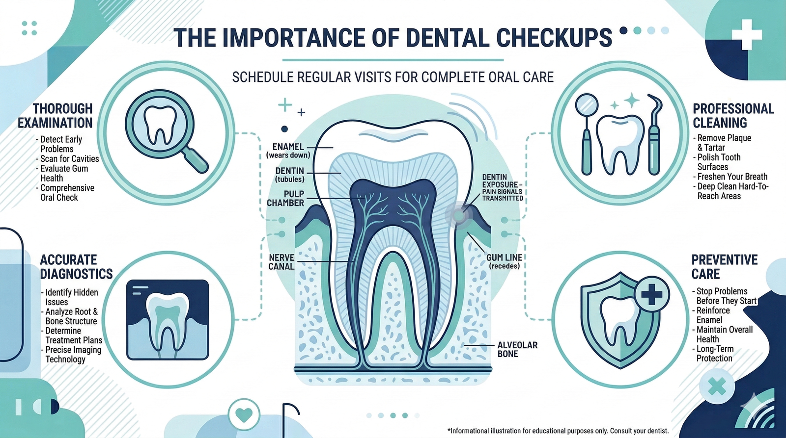 Routine Dental Checkups Infographic